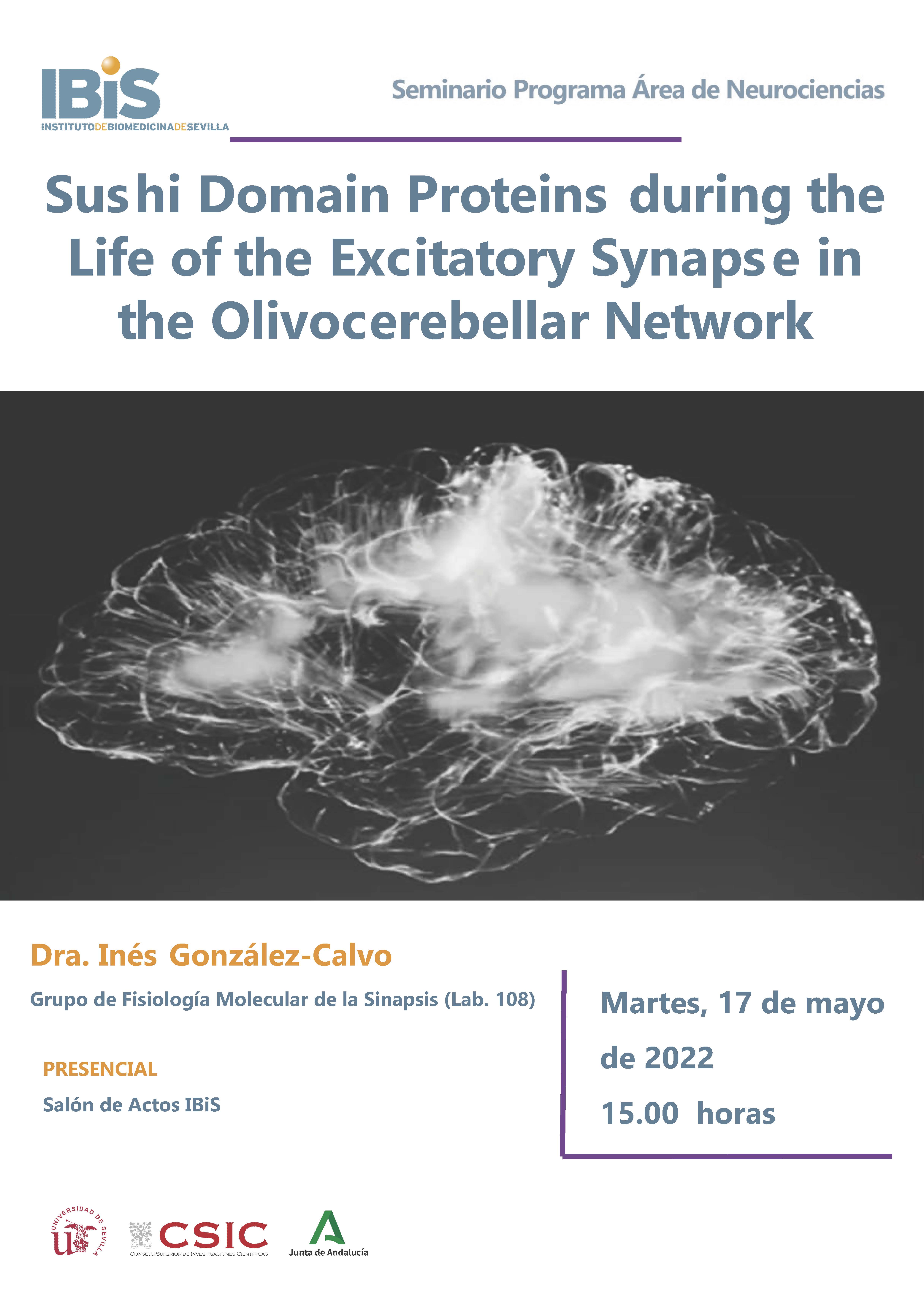 Poster: Sushi Domain Proteins during the Life of the Excitatory Synaps e in the Olivocerebellar Network