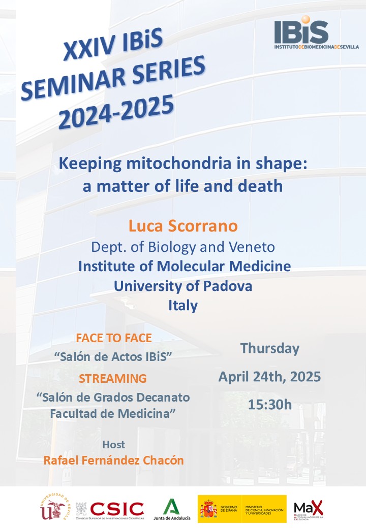 Poster: Keeping mitochondria in shape: a matter of life and death