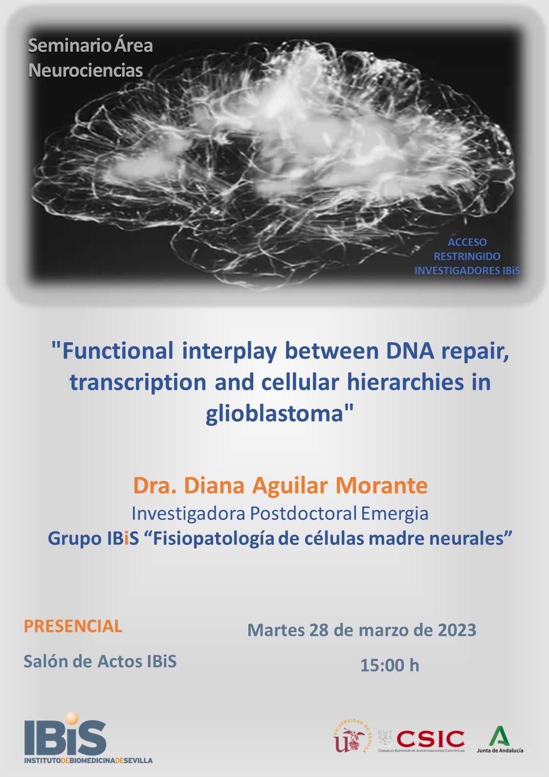 Poster: "Functional interplay between DNA repair, transcription and cellular hierarchies in glioblastoma"
