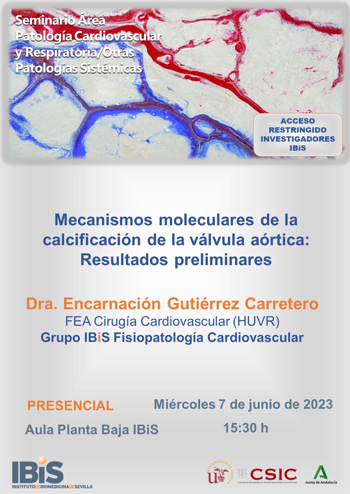 Poster: Mecanismos moleculares de la calcificación de la válvula aórtica: Resultados preliminares