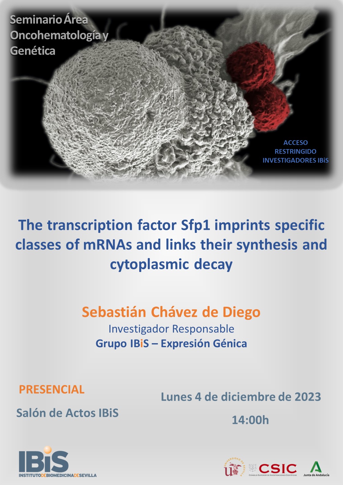 Poster: The transcription factor Sfp1 imprints specific classes of mRNAs and links their synthesis and cytoplasmic decay