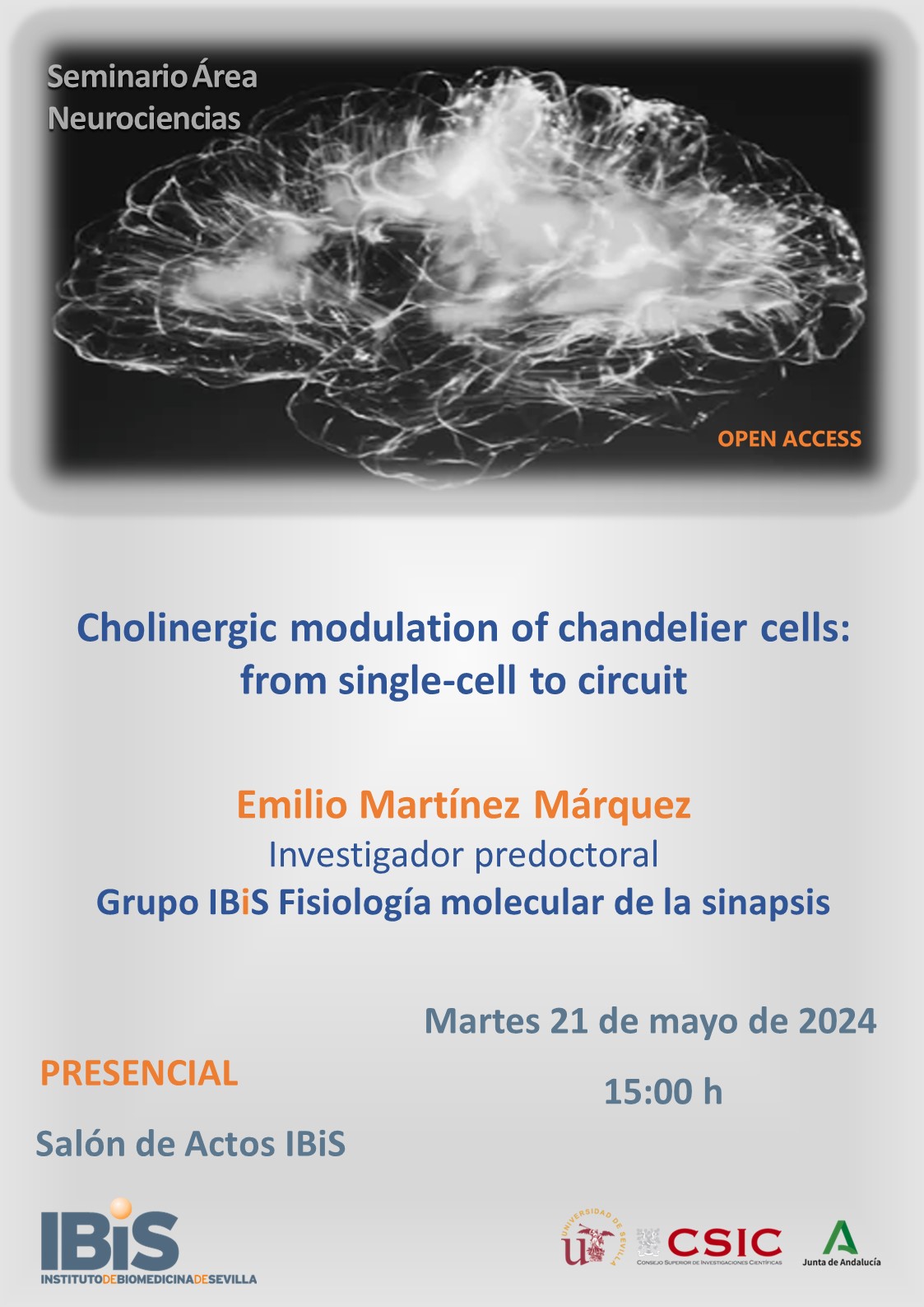 Poster: Cholinergic modulation of chandelier cells: from single-cell to circuit