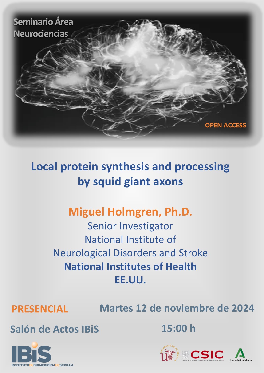 Poster: Local protein synthesis and processing by squid giant axons