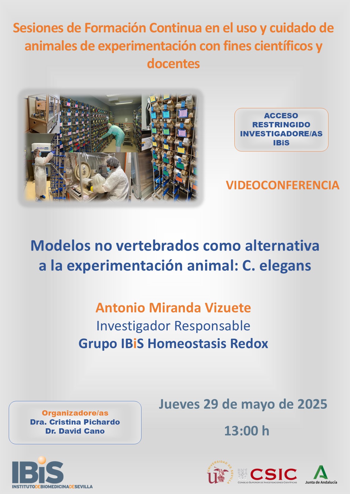 Poster: Modelos no vertebrados como alternativa a la experimentación animal: C. elegans
