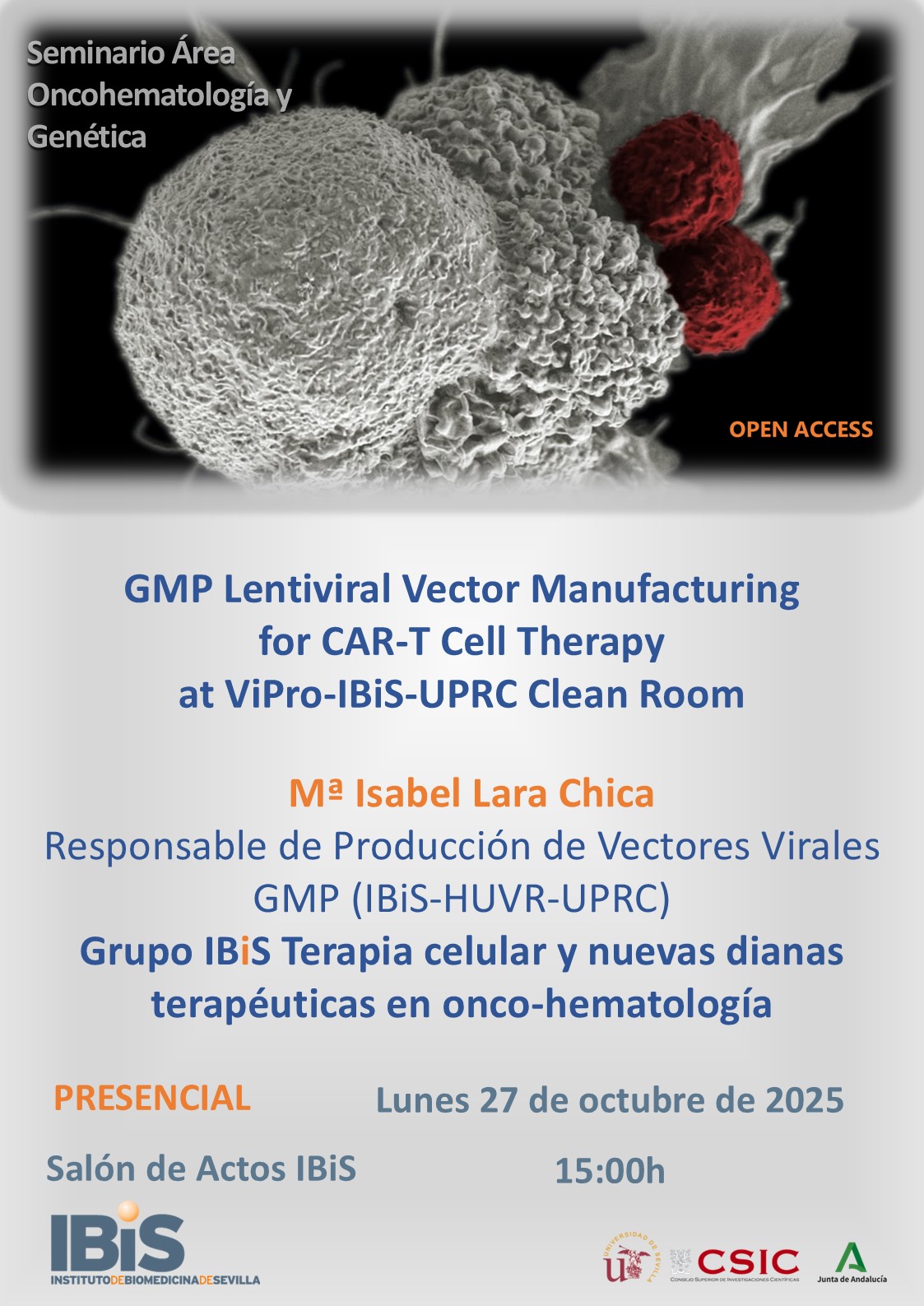 Poster: GMP Lentiviral Vector Manufacturing for CAR-T Cell Therapy at ViPro-IBiS-UPRC Clean Room