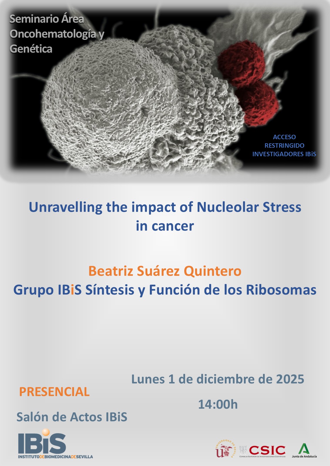 Poster: Unravelling the impact of Nucleolar Stress in cancer