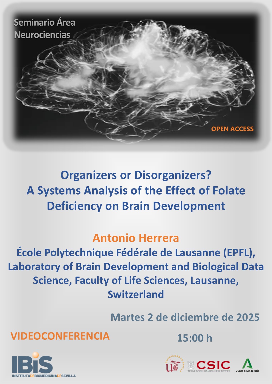 Poster: Organizers or Disorganizers? A Systems Analysis of the Effect of Folate Deficiency on Brain Development