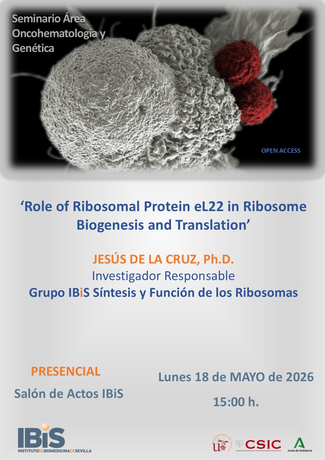 Poster: Role of Ribosomal Protein eL22 in Ribosome Biogenesis and Translation