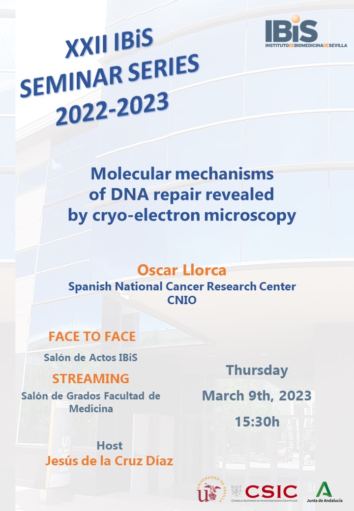 Poster: Molecular mechanisms of DNA repair revealed b y cryo electron microscopy