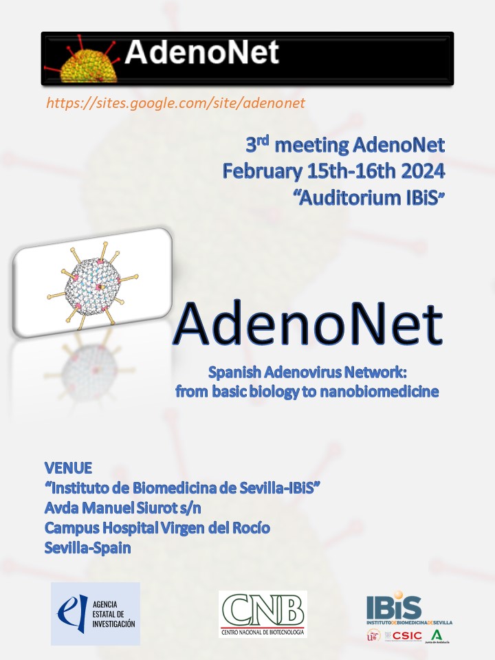Poster: 3rd meeting AdenoNet February 15th-16th 2024